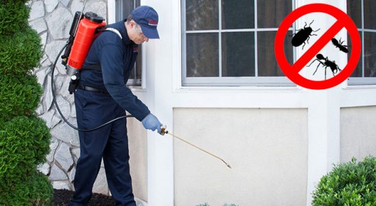 Demirköprü Dezenfeksiyon böcek ilaçlama ve haşere kontrolü — ilaclama-tr.com